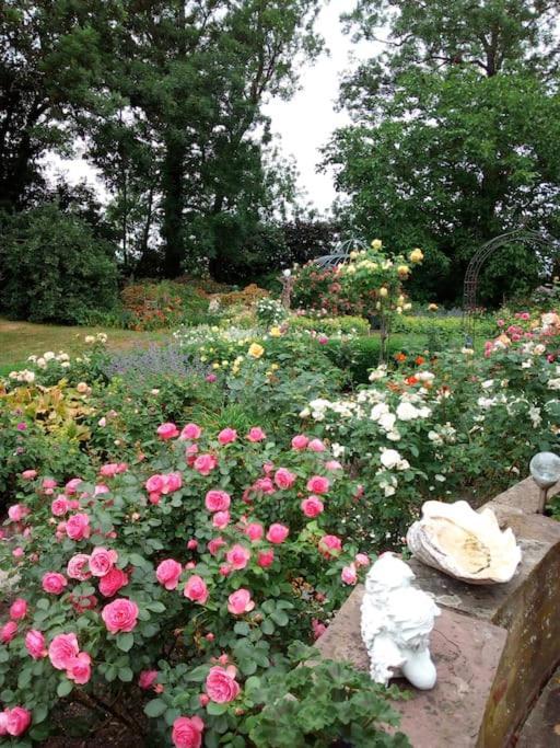 Ferienhaus Rosengarten Loxstedt Bagian luar foto